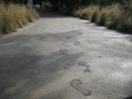Footprints in Perth