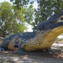 The Big Crocodile